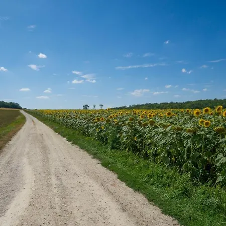 D'hotes Fantesstique Bed & Breakfast