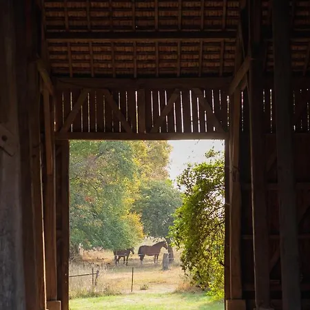 Bed & Breakfast D'hotes Fantesstique *