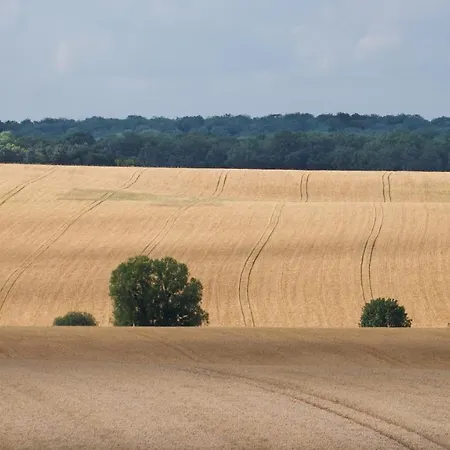 Bed & Breakfast D'hotes Fantesstique *